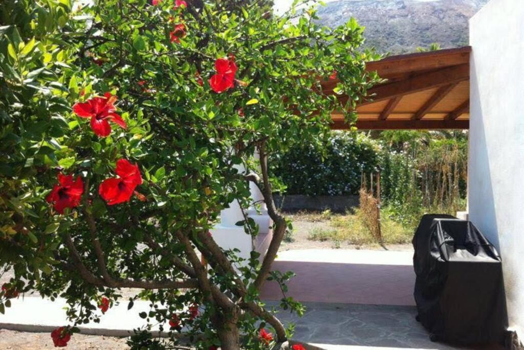 Villa By The Vulcano - 70Mq Plus Large Garden And Patio Eksteriør billede